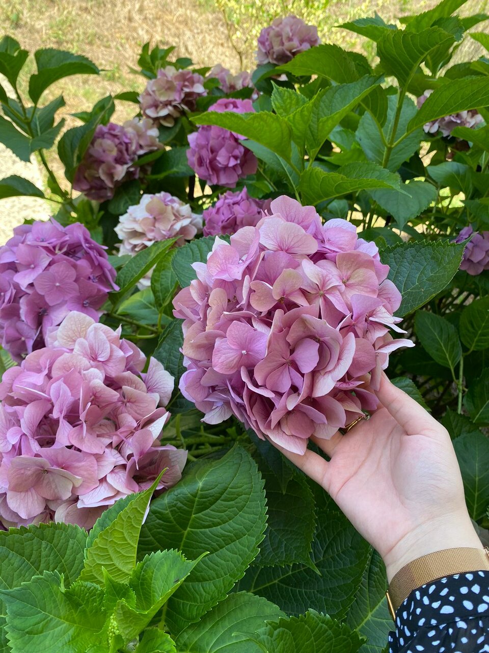 Гостиница Горное Ущелье Лоо-26