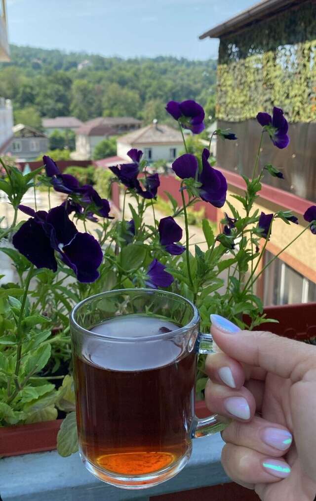 Гостиница Горное Ущелье Лоо-29